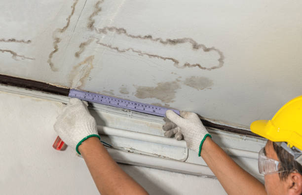 Reliable Structural Drying contractor in Berkley, MA by Water Damage Irwin
